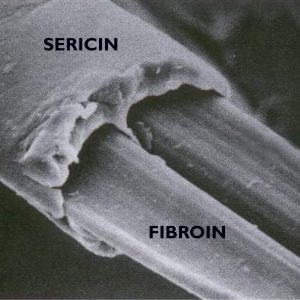 fibroina-sericina